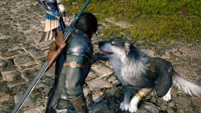 Pomazi psa na Final Fantasy 16 način