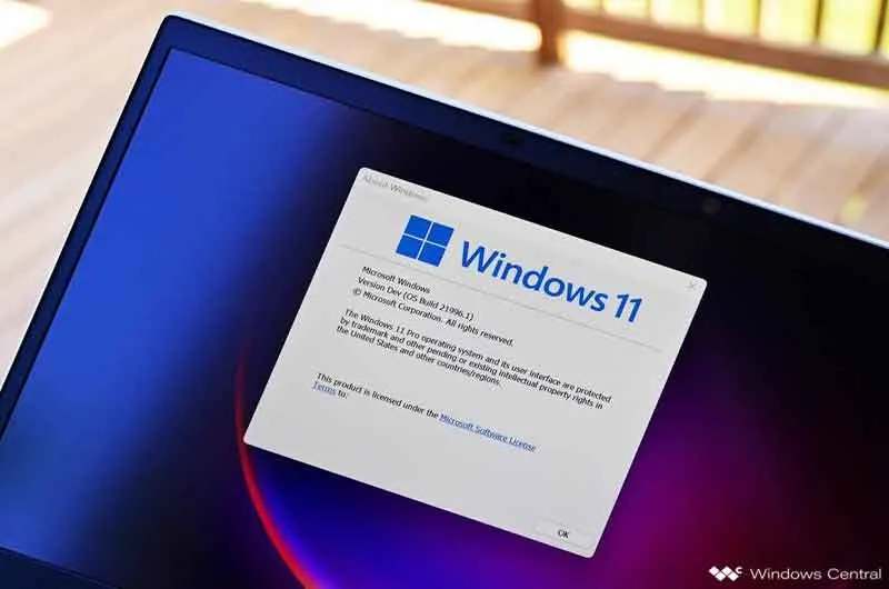 Windows 11