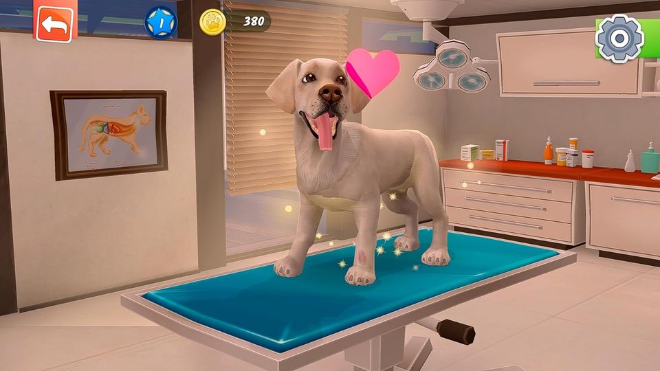 PS4 Animal Hospital 