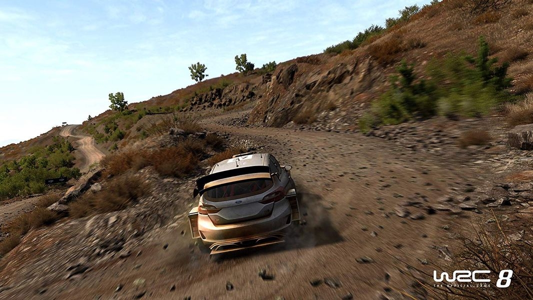Switch WRC 8 