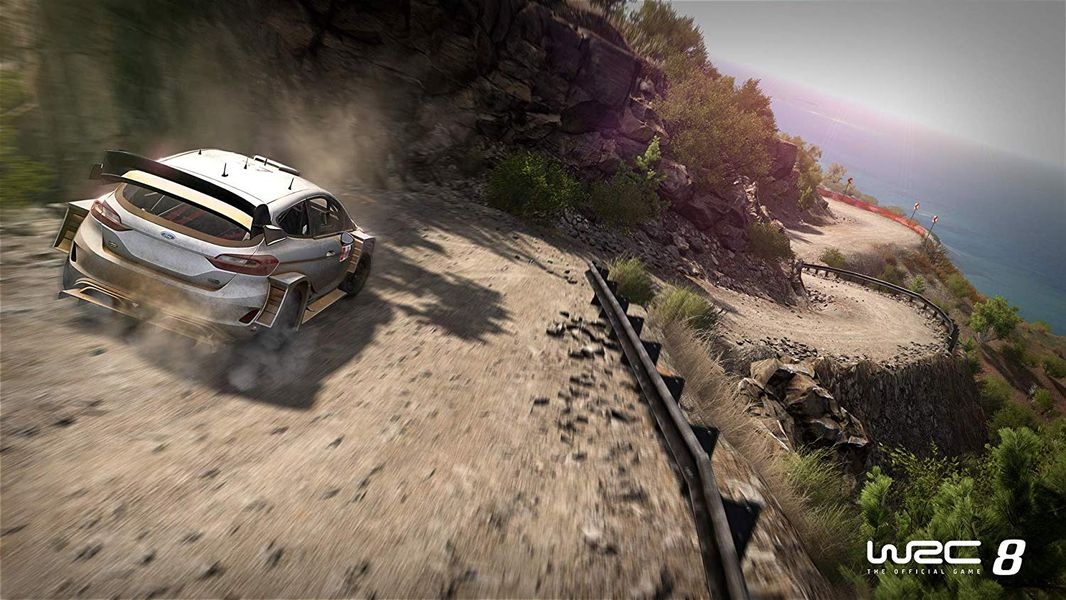 Switch WRC 8 