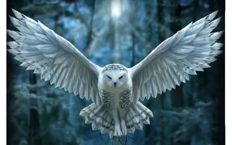 HEDWIG: 10 stvari koje nista znali