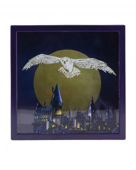 Kasica Paladone Harry Potter - Hedwig Frame - Money Box 