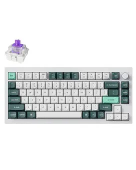 Tastatura Keychron Q1H-P1 75% - Shell White 