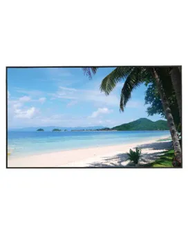 Monitor Dahua 43