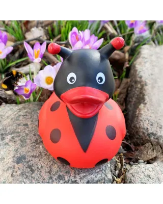 Lilalu Patkica - Ladybug - Rubber Duck 