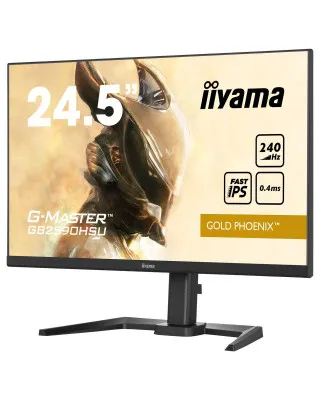 Monitor Iiyama G-Master 24.5
