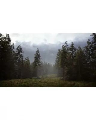 PS4 Hunting Simulator 2 