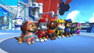 Switch Paw Patrol Adventure City Calls 