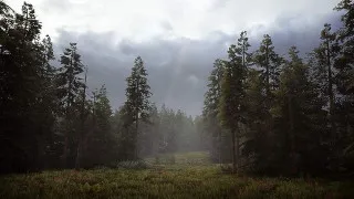 PS5 Hunting Simulator 2 