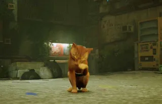 PS5 Stray 