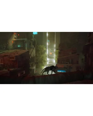 Switch Stray 