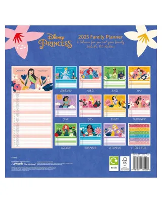 Zidni Kalendar Disney Princess - 2025 Family Planner 30x30cm 