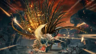 PS5 Elden Ring - Shadow of the Erdtree 