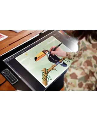 Grafička tabla Wacom Cintiq Pro Touch 24