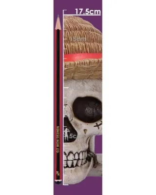 One Piece - Luffy Jolly Roger Box 