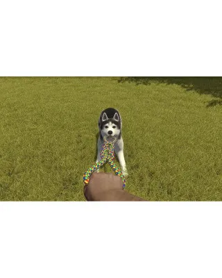 PS4 House Flipper - Pets edition 