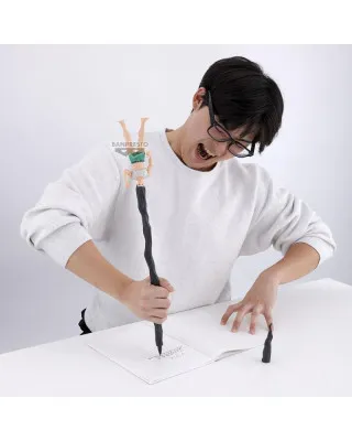 Statue Hunter x Hunter - Gon 