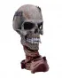 Statue Metallica - Pushead Skull 