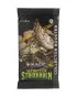 Društvena igra - Magic the Gathering - TCG Secrets of Strixhaven - Collector Booster 