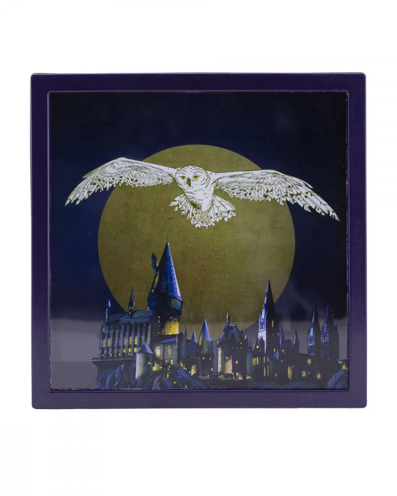 Kasica Paladone Harry Potter - Hedwig Frame - Money Box 