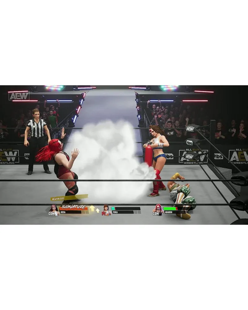 PS4 AEW - Fight Forever 