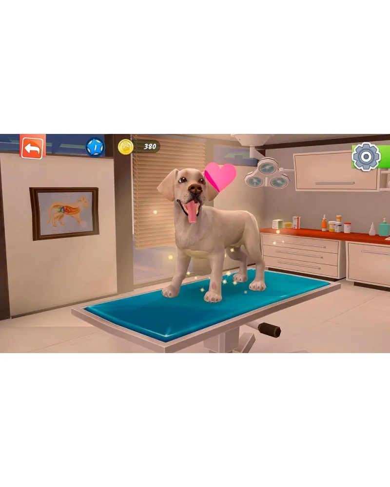 PS4 Animal Hospital 