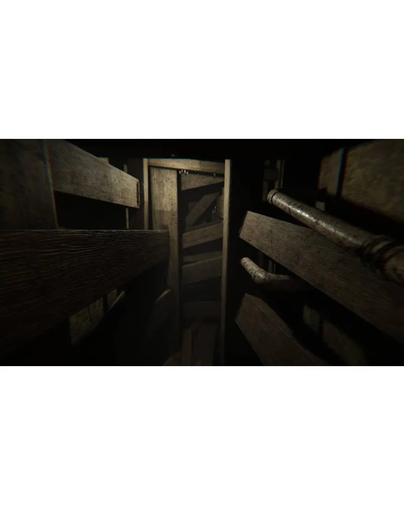 PS5 Madison - Possessed Edition 