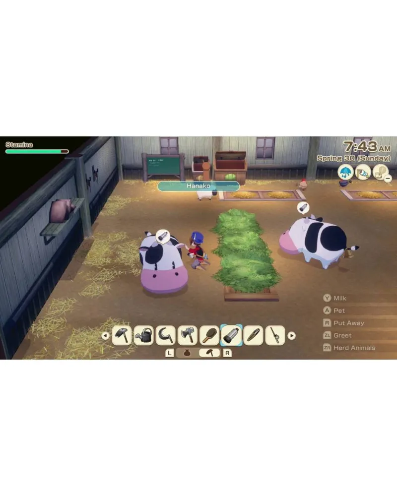Switch STORY OF SEASONS - Grand Bazaar 