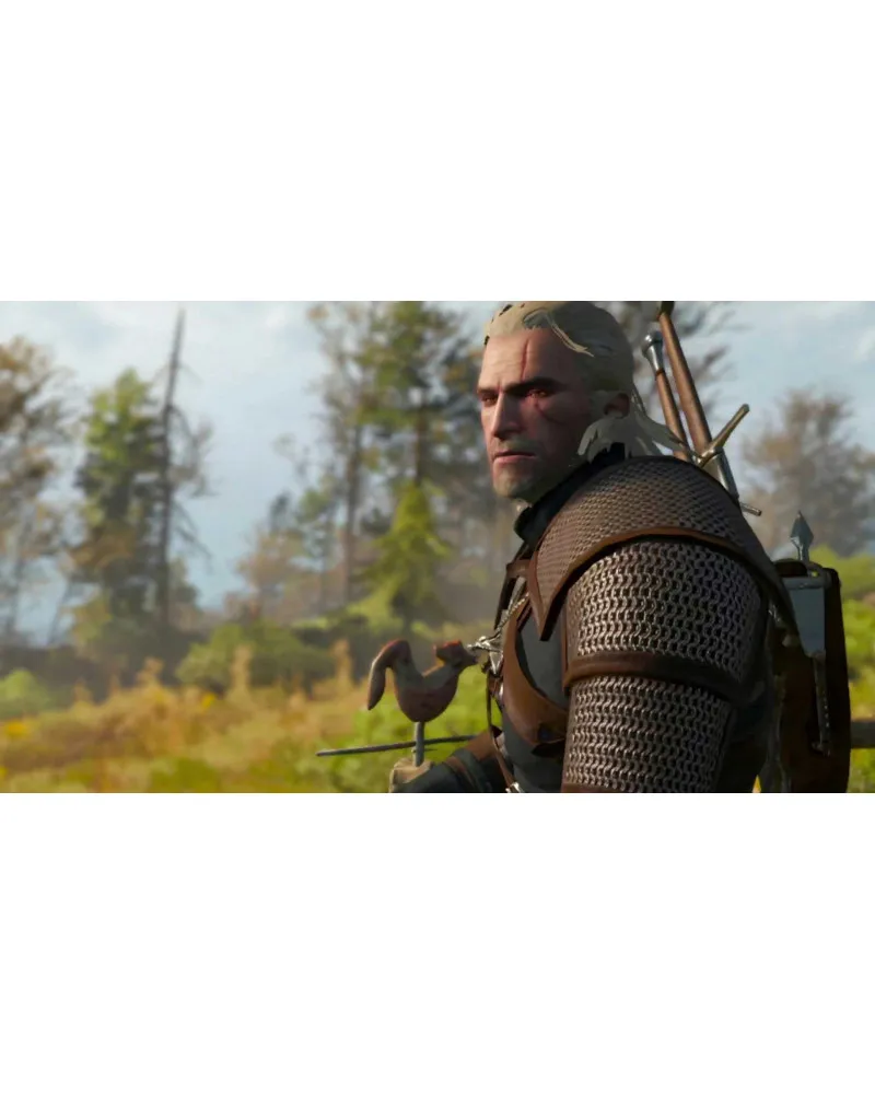 Switch The Witcher 3 - Wild Hunt 