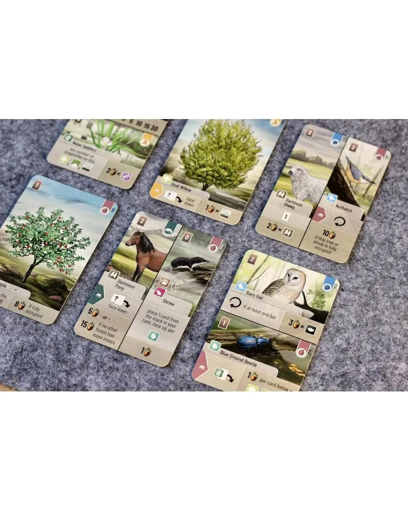 Društvena igra Forest Shuffle - Dartmoor 