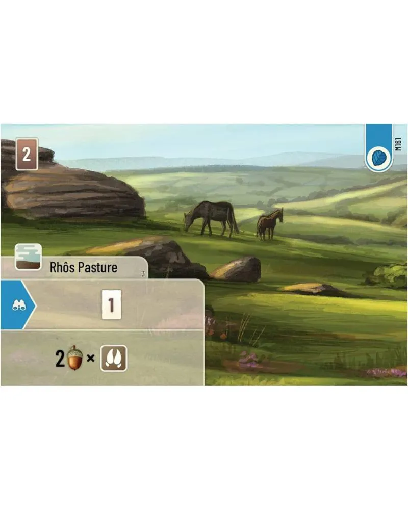 Društvena igra Forest Shuffle - Dartmoor 