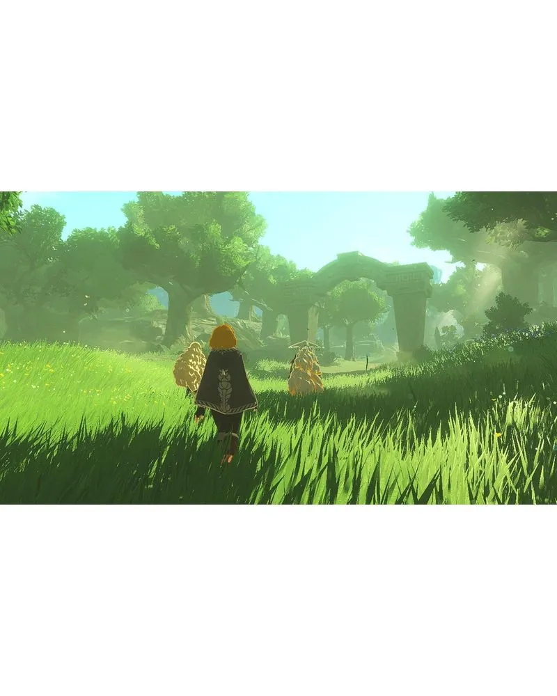 Switch 2 Hyrule Warriors - Age Of Imprisonment 