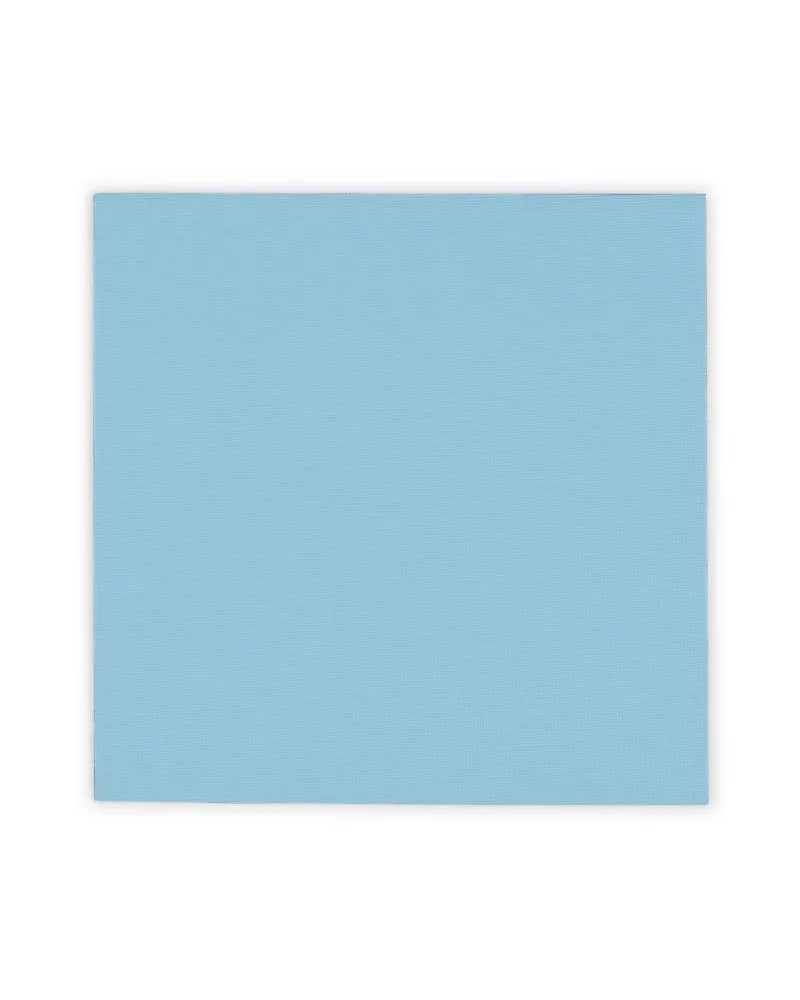 Thermal Pad Thermal Grizzly Minus Pad Pro 100x100 2mm 2Pcs 