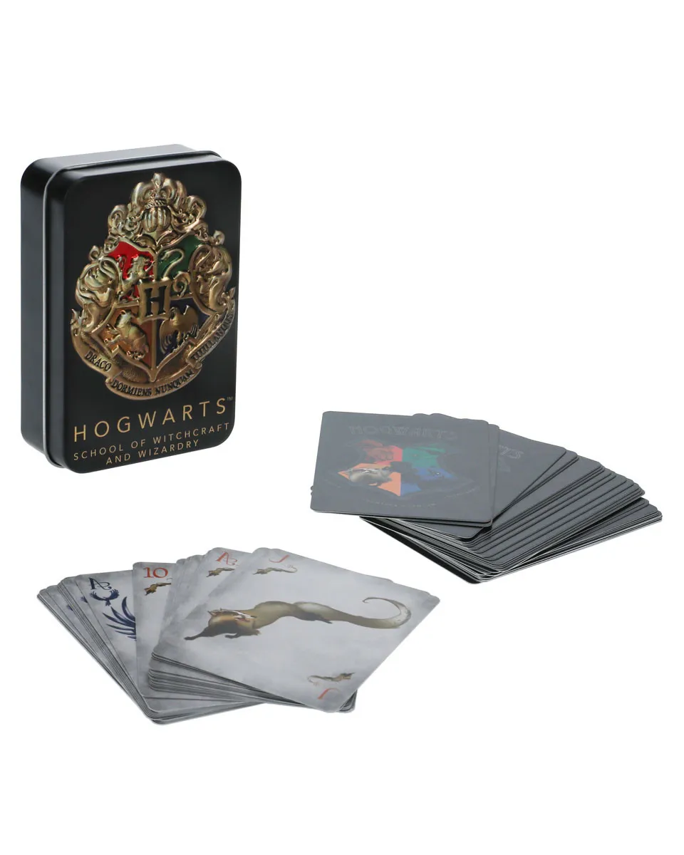 Karte Paladone - Harry Potter Hogwarts - School of Witchcraft and Wizardry 