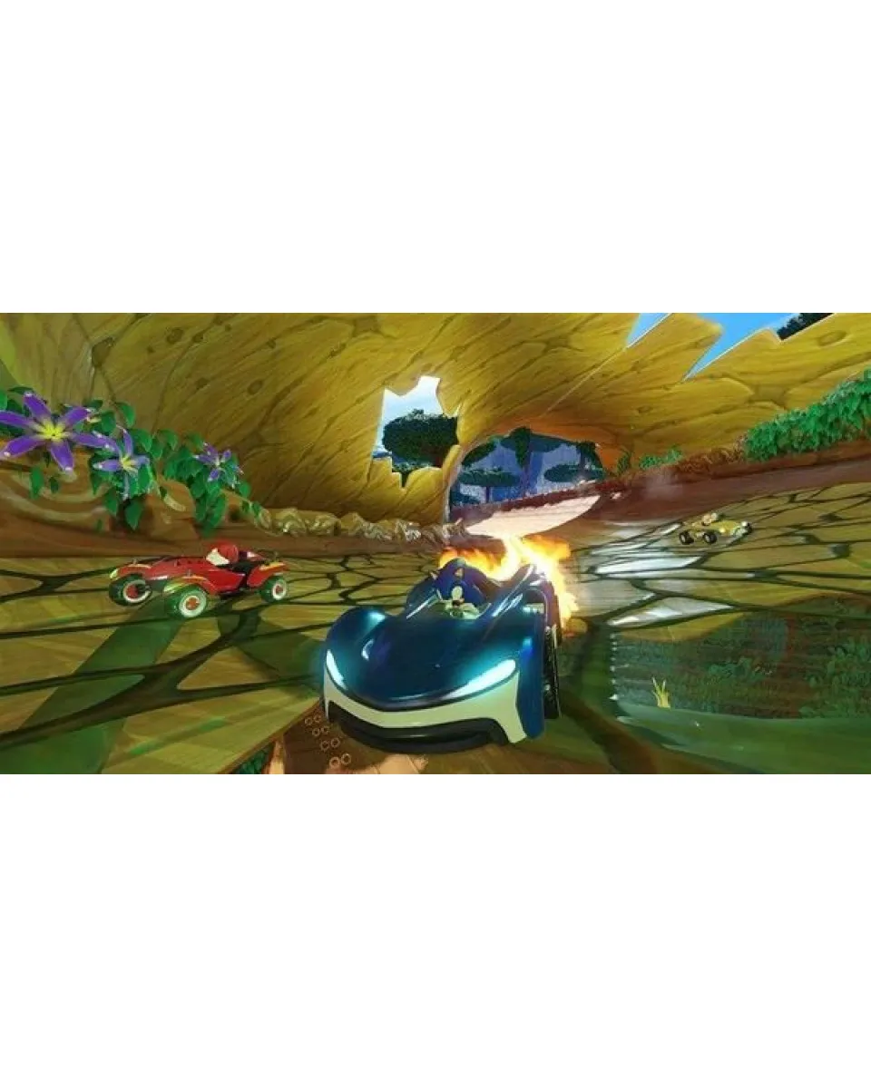 PS4 Team Sonic Racing - 30th Anniversary Edition 