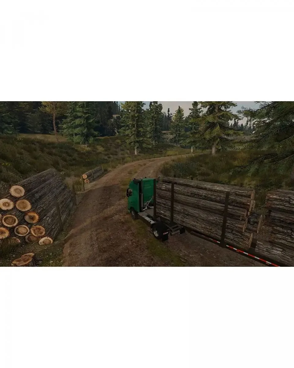 Switch Truck Driver 