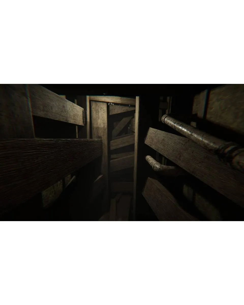 PS5 Madison - Possessed Edition 