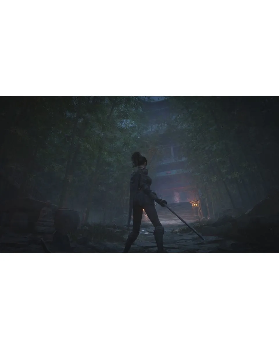 PS5 Wuchang Fallen Feather - Day One Edition 
