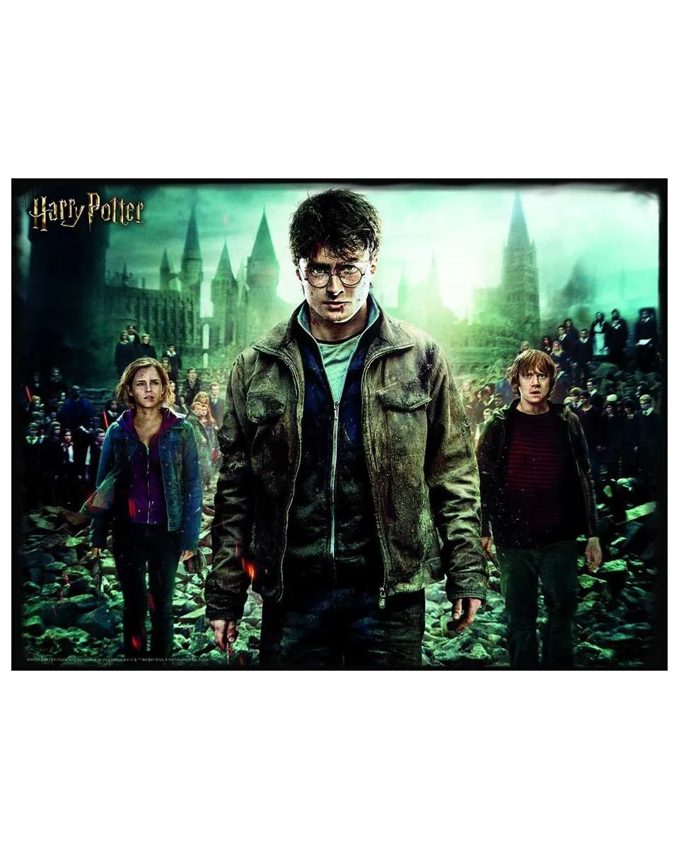 Puzzle 3D Harry Potter - Harry Potter 