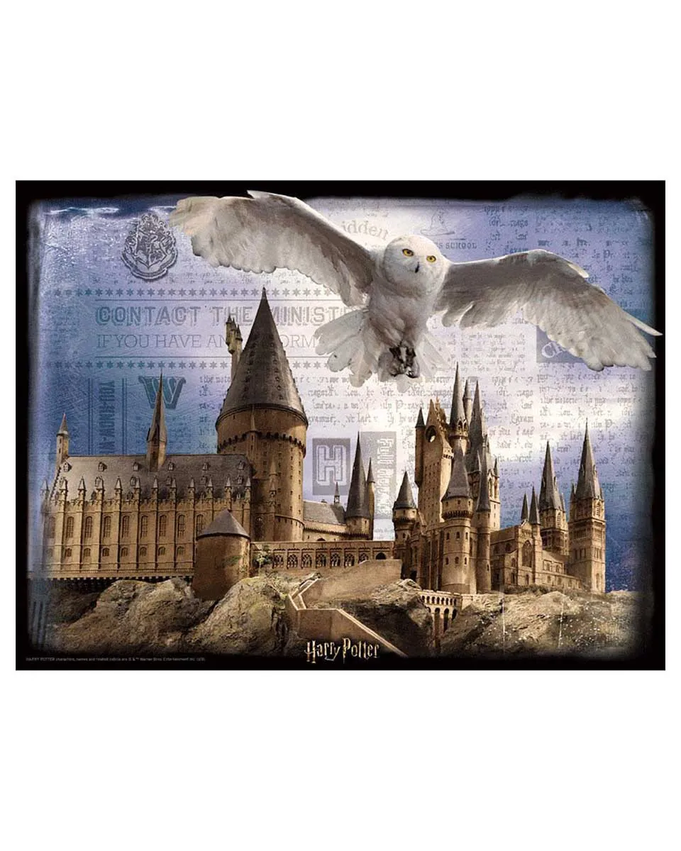 Puzzle 3D Harry Potter - Hogwarts and Hedwig 