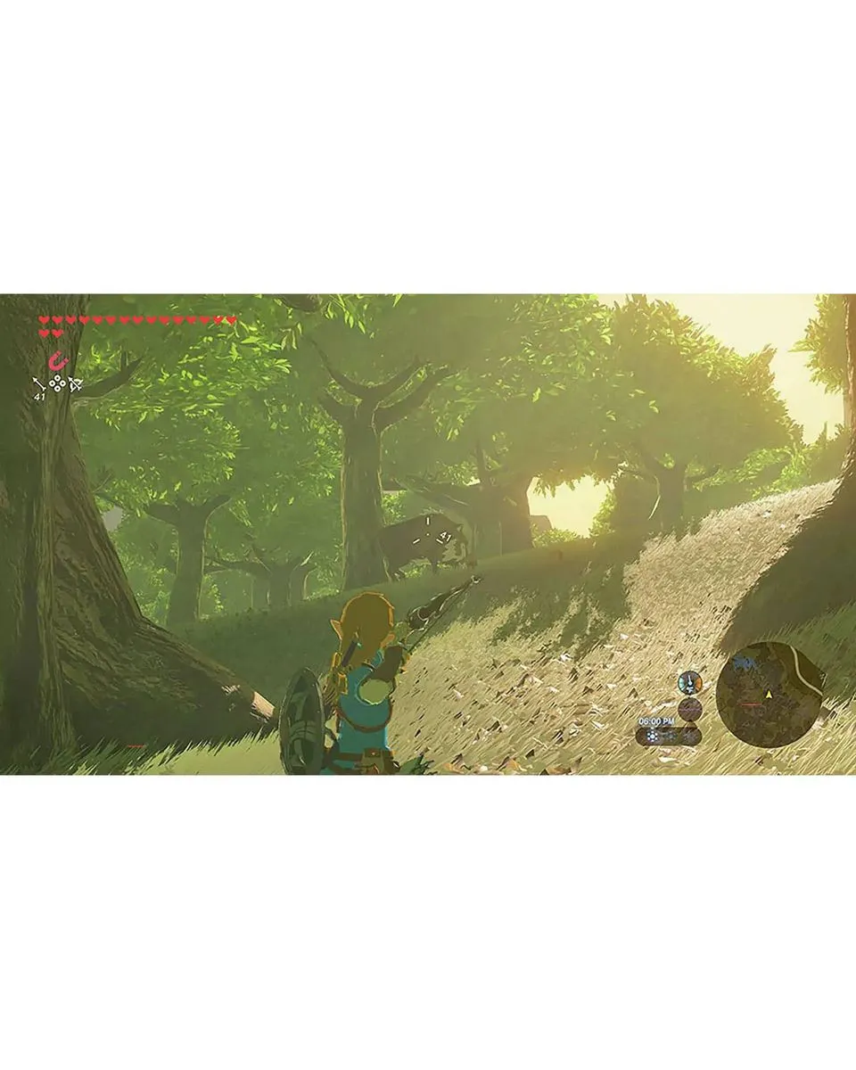 Switch 2 The Legend of Zelda - Breath of the Wild - Nintendo Switch 2 Edition 
