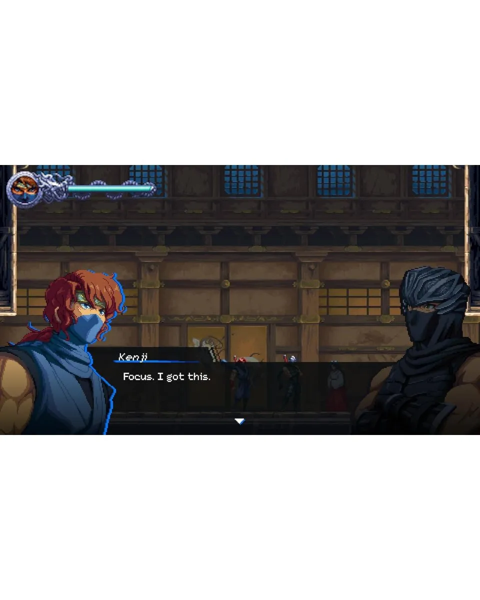 Switch Ninja Gaiden - Ragebound 