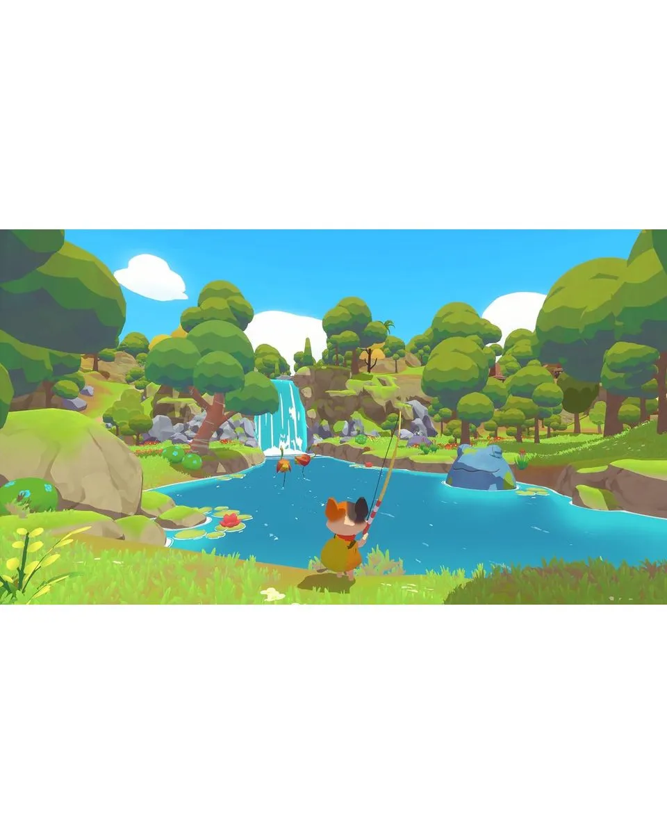 Switch Petit Island 