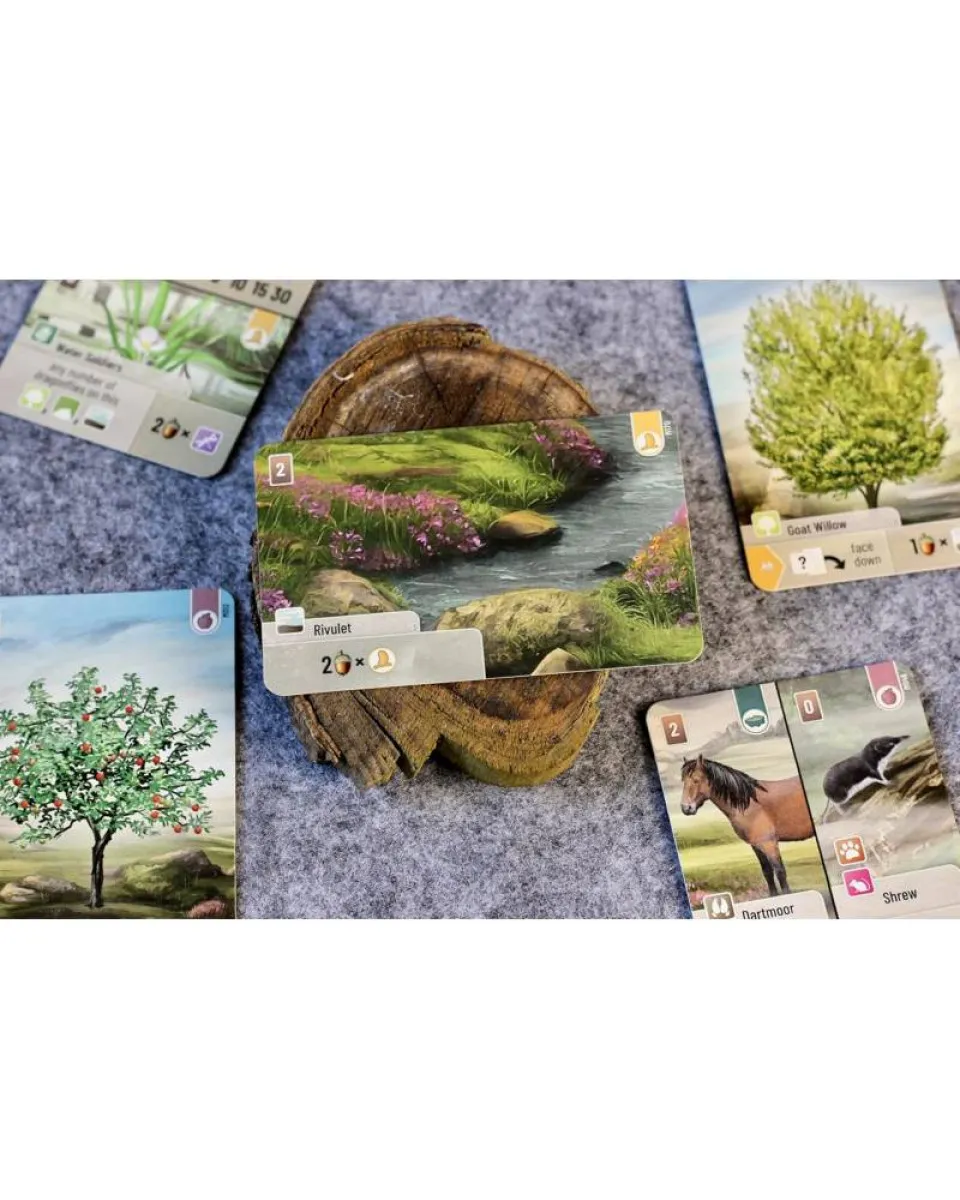 Društvena igra Forest Shuffle - Dartmoor 