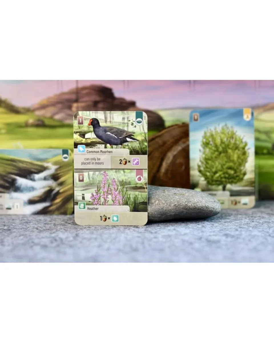 Društvena igra Forest Shuffle - Dartmoor 