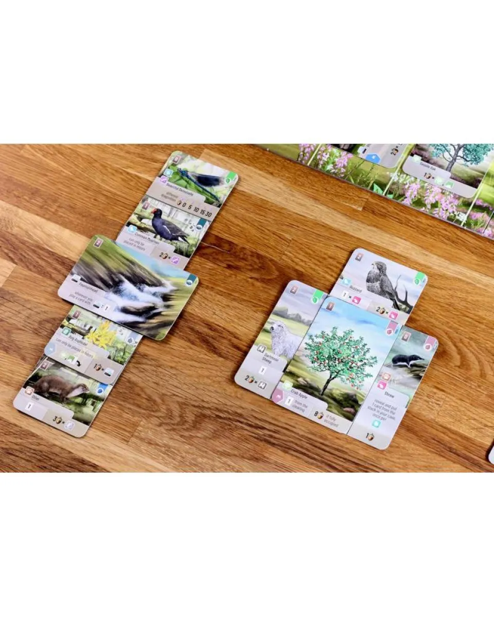 Društvena igra Forest Shuffle - Dartmoor 