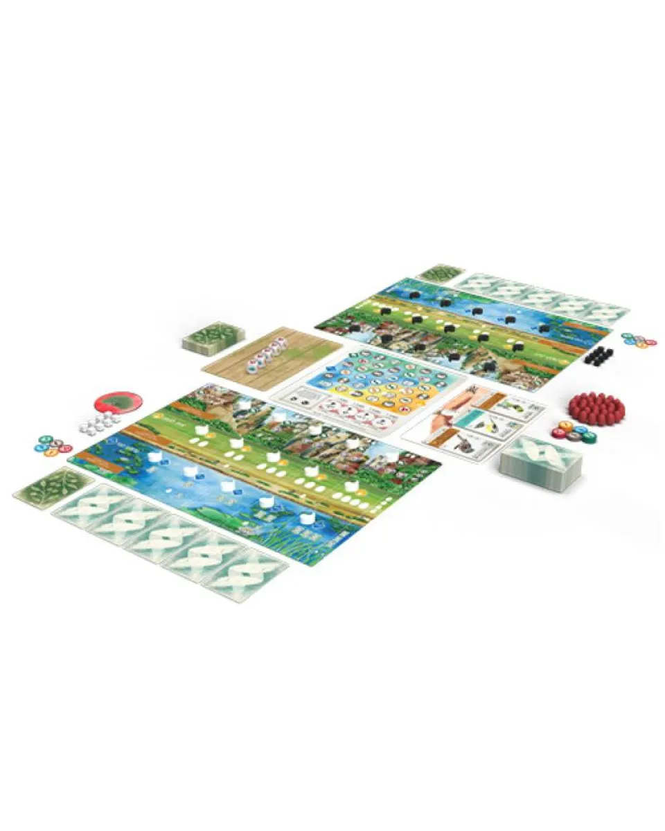 Društvena igra Wingspan - Ptice Azije 