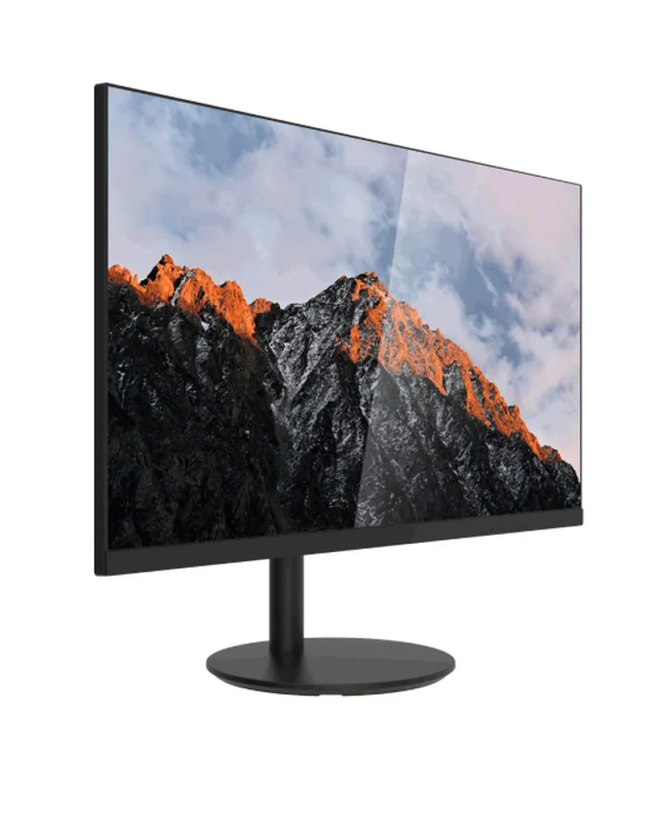 Monitor Dahua 24