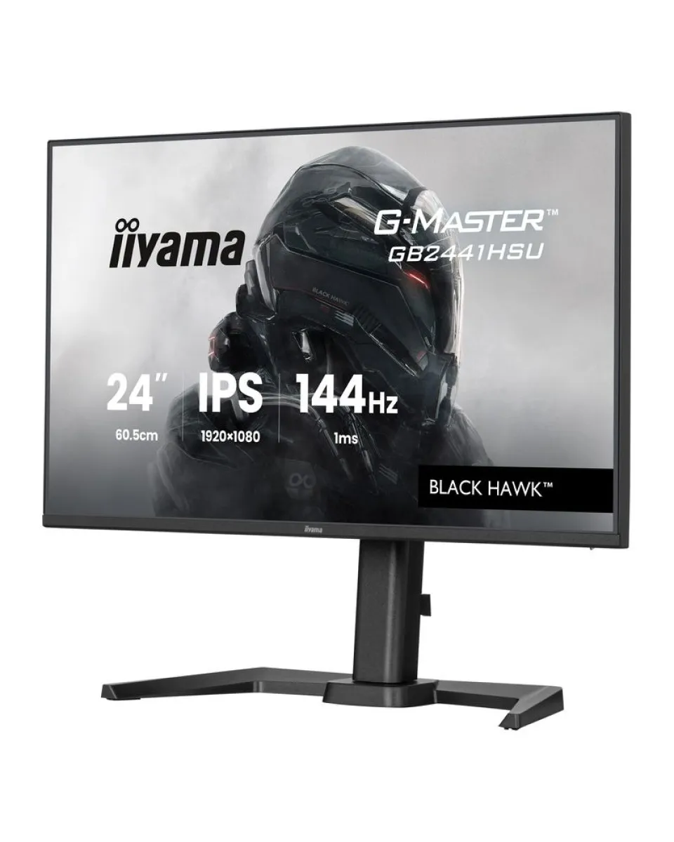 Monitor Iiyama G-master 24
